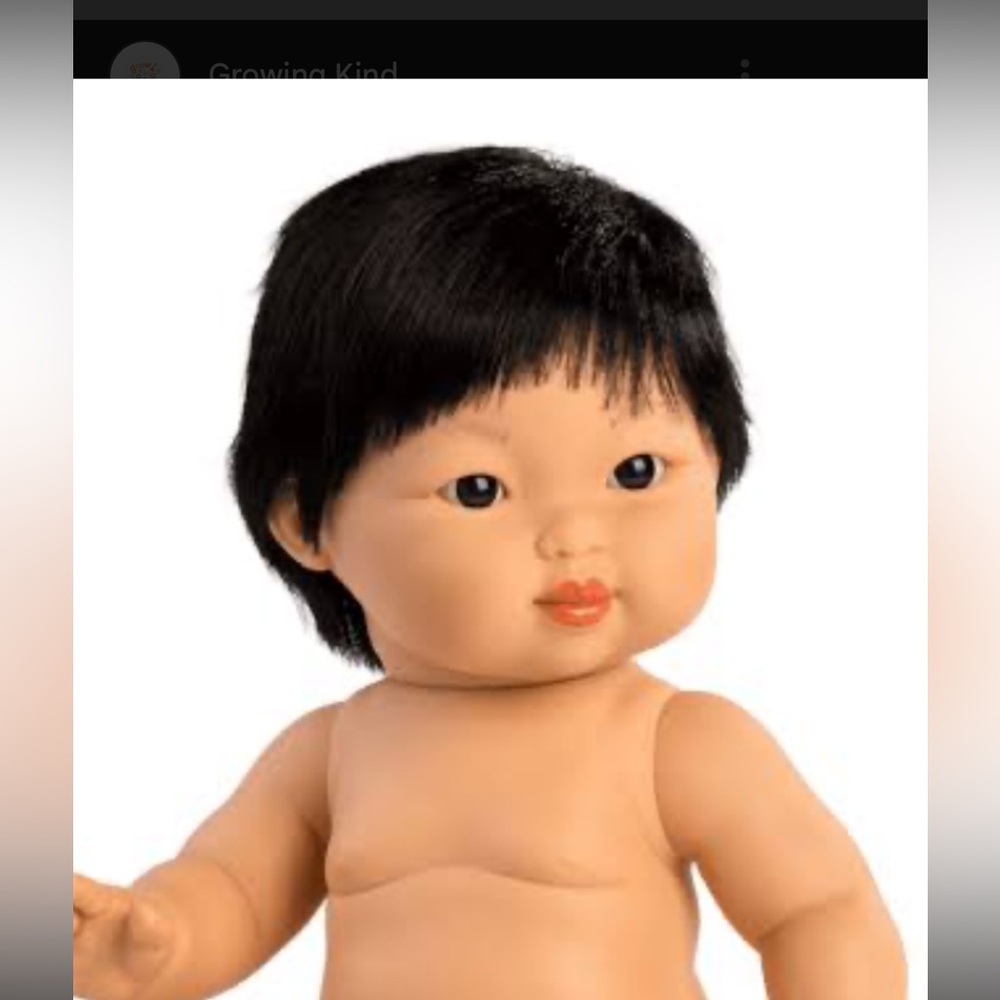 Mini Colettos Doll Taro NIB